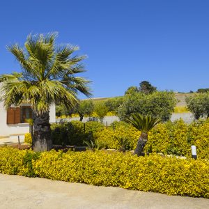 Casa vacanza Dattilo