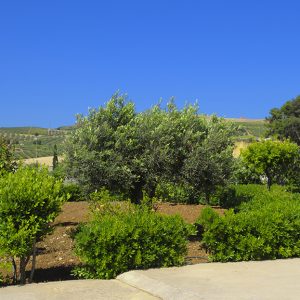 Casa vacanze Dattilo